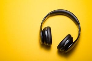 Wireless Headphones & Case